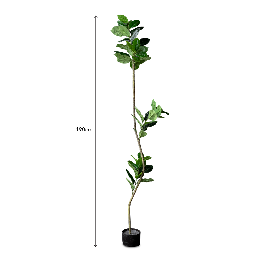 FAUX Plant Rubber Tree