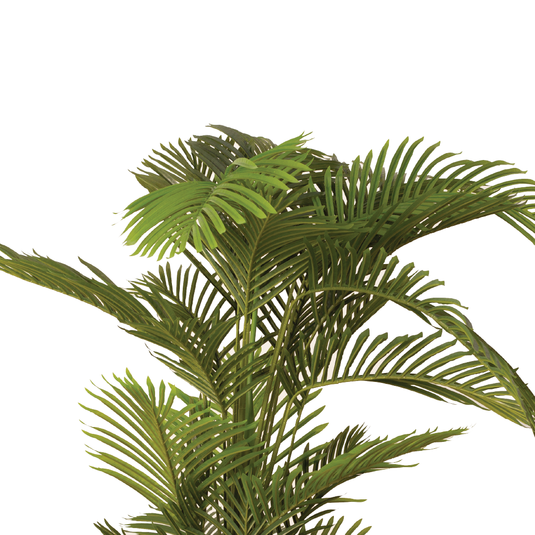 ARECA III Plant