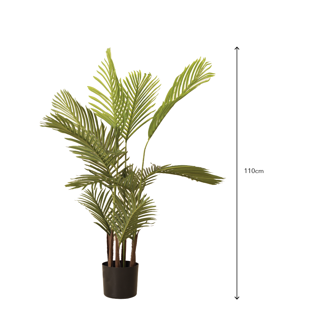ARECA III Plant