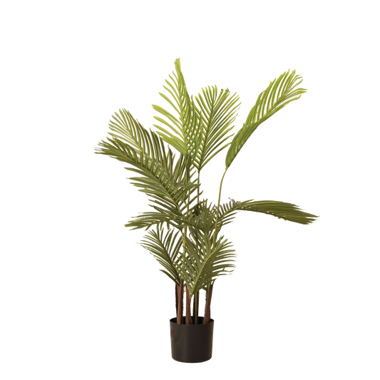 ARECA III Plant