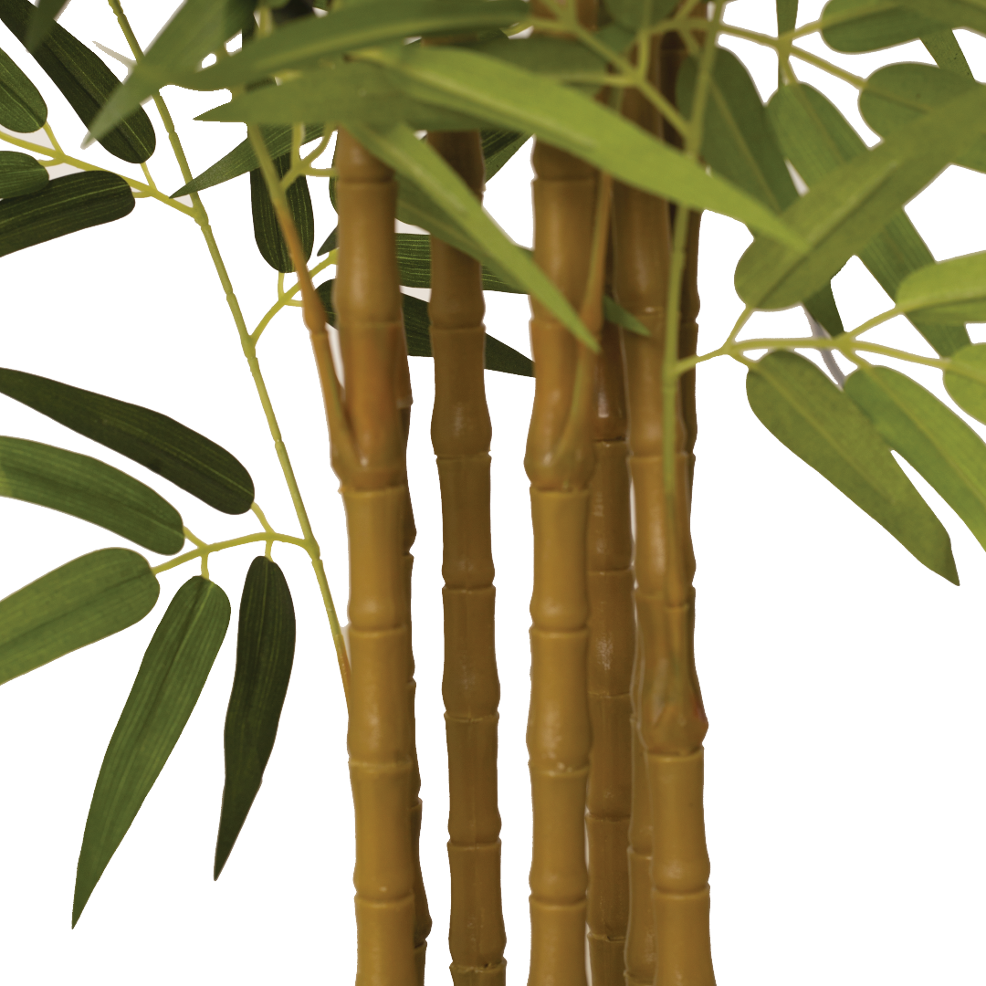 BAMBOO Tree
