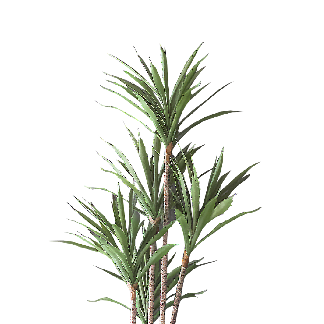 FAUX Agave Tree