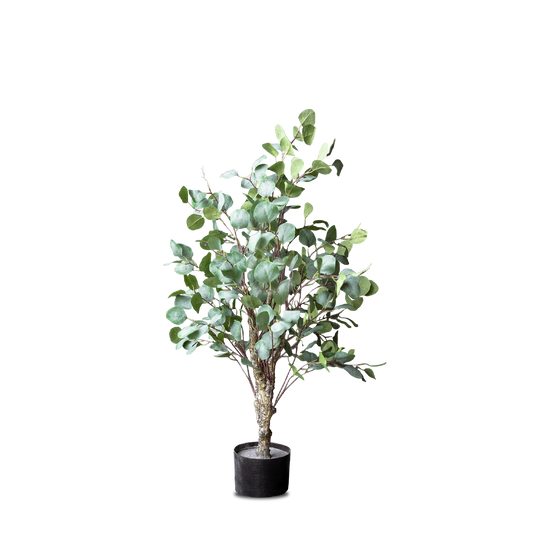 FAUX Eucalyptus Tree