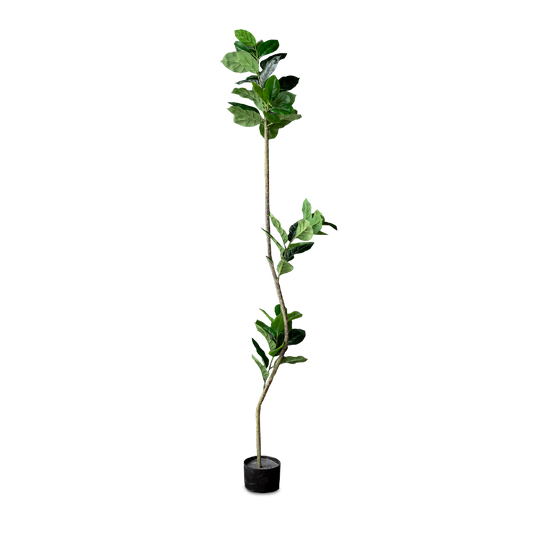 FAUX Plant Rubber Tree