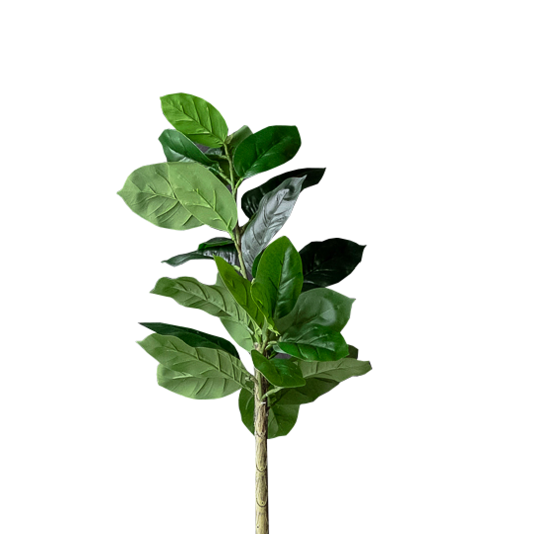 FAUX Plant Rubber Tree