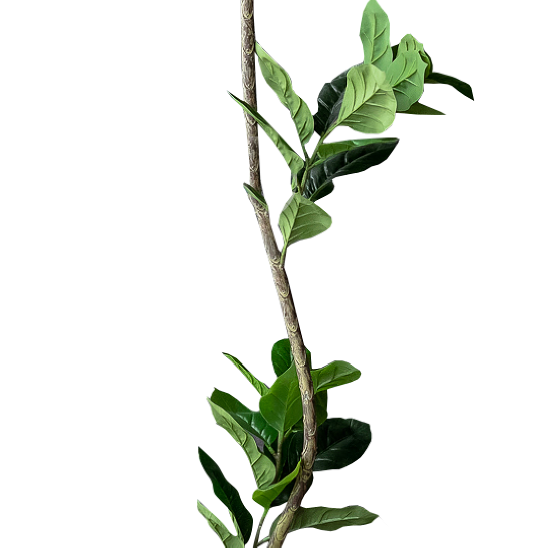 FAUX Plant Rubber Tree