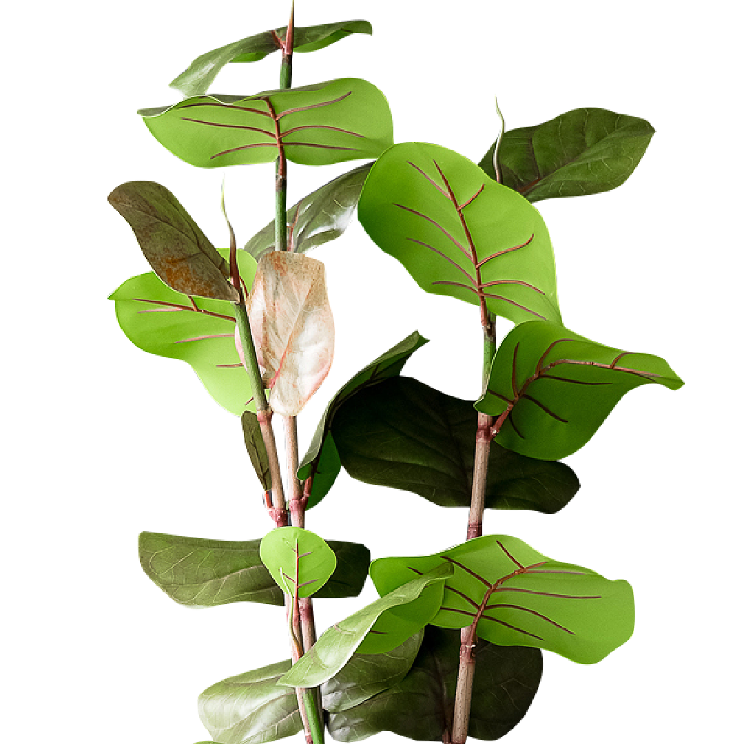 FAUX Sea Grape Tree